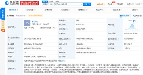 計(jì)算機(jī)軟件的技術(shù)開發(fā)與銷售 創(chuàng)新驅(qū)動(dòng)與市場(chǎng)拓展的雙輪驅(qū)動(dòng)